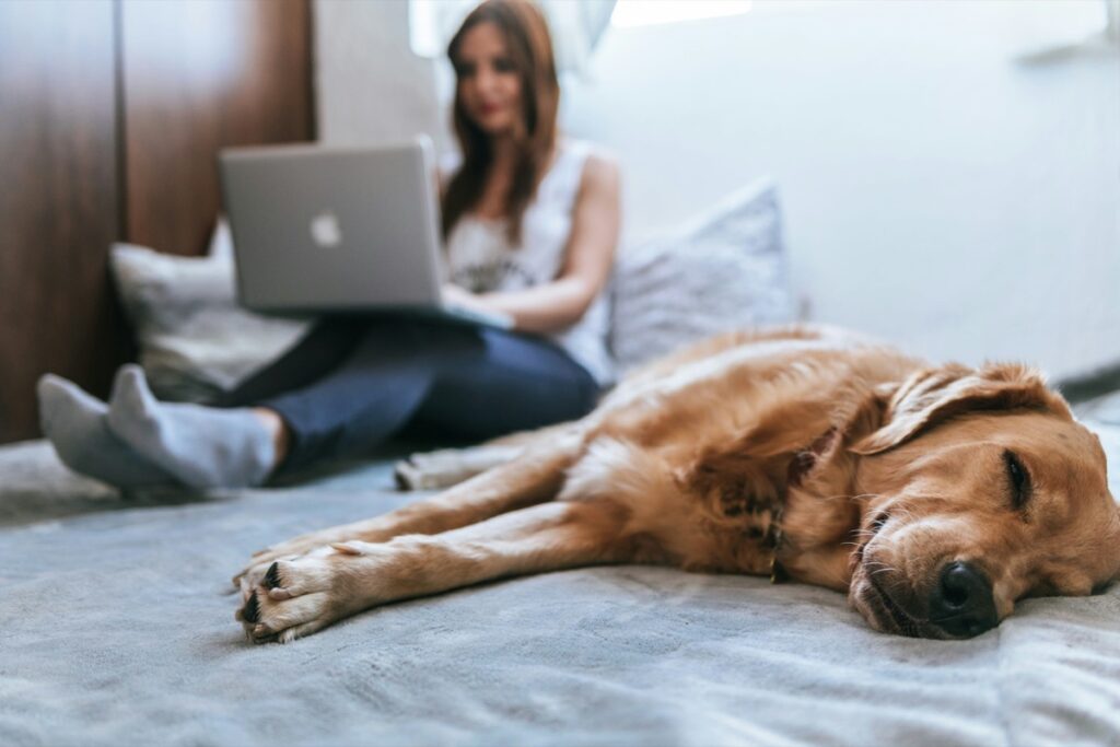 woman on laptop next to her dog